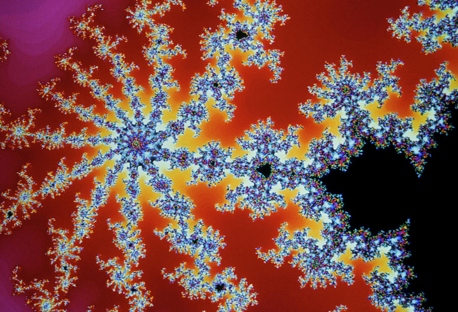 Computer Graphics Photograph - Fractal Geometry: Detail From Mandelbrot Set by Dr Fred Espenak/science Photo Library