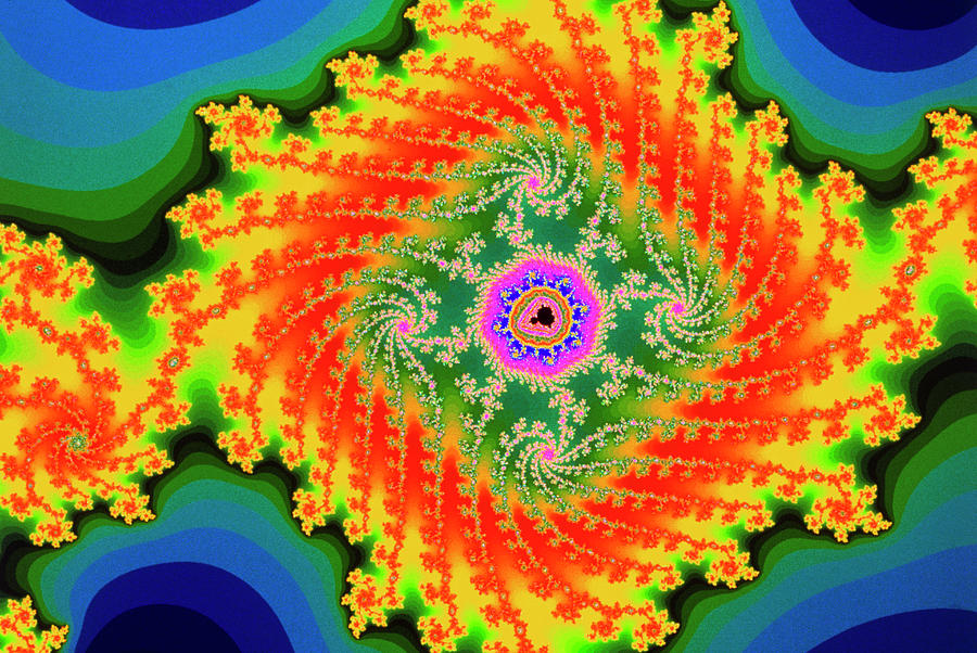 Fractal Image Of The Mandelbrot Set Photograph by Gregory Sams/science Photo Library