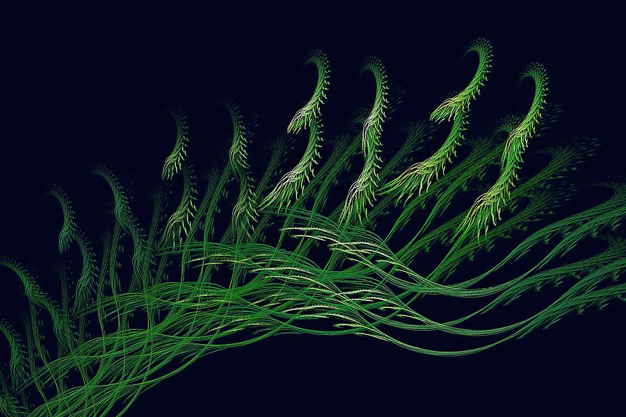 Fractal Kelp Deep Blue Sea Digital Art by Doug Morgan