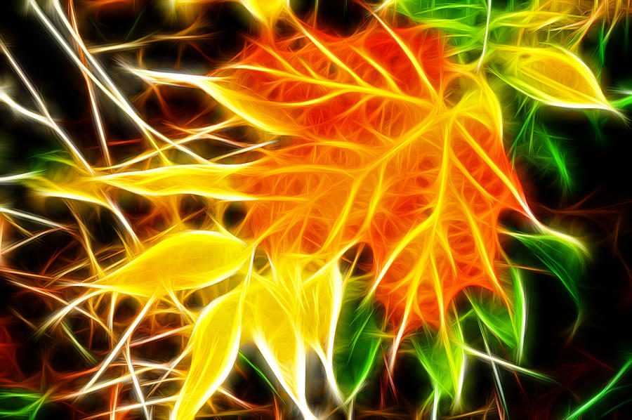 Fractal Leafs Photograph by Prince Andre Faubert