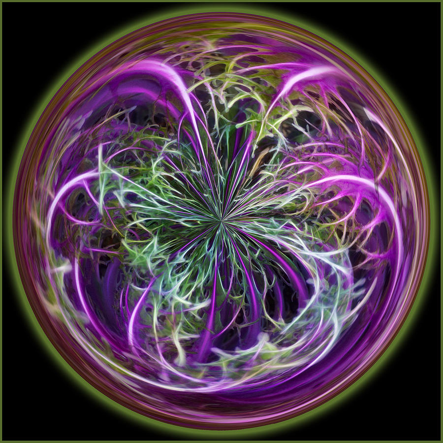 Cabbage Photograph - Fractal Orb by Cathy Kovarik