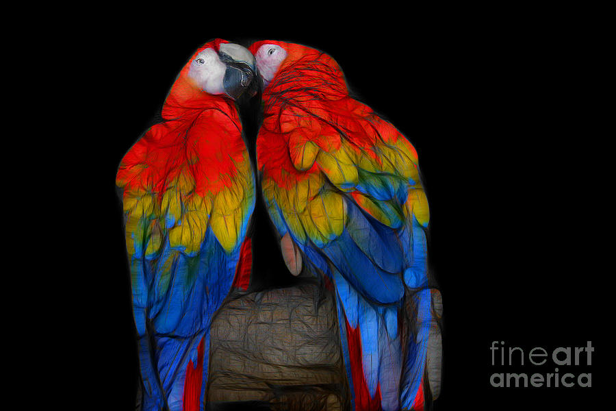 Fractal Parrots Digital Art by Teresa Zieba