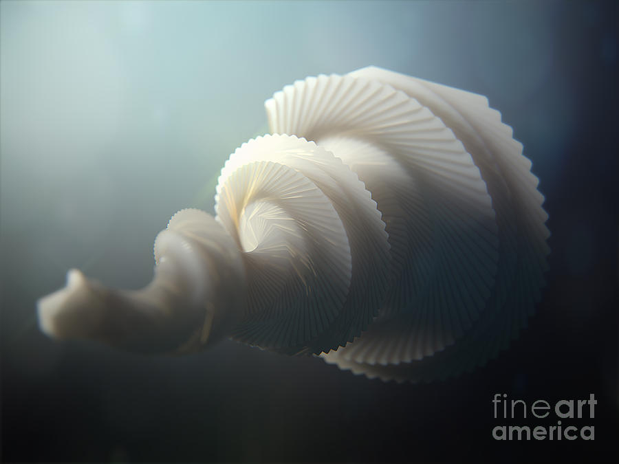 Abstract Painting - Fractal SeaShell  by Pixel  Chimp