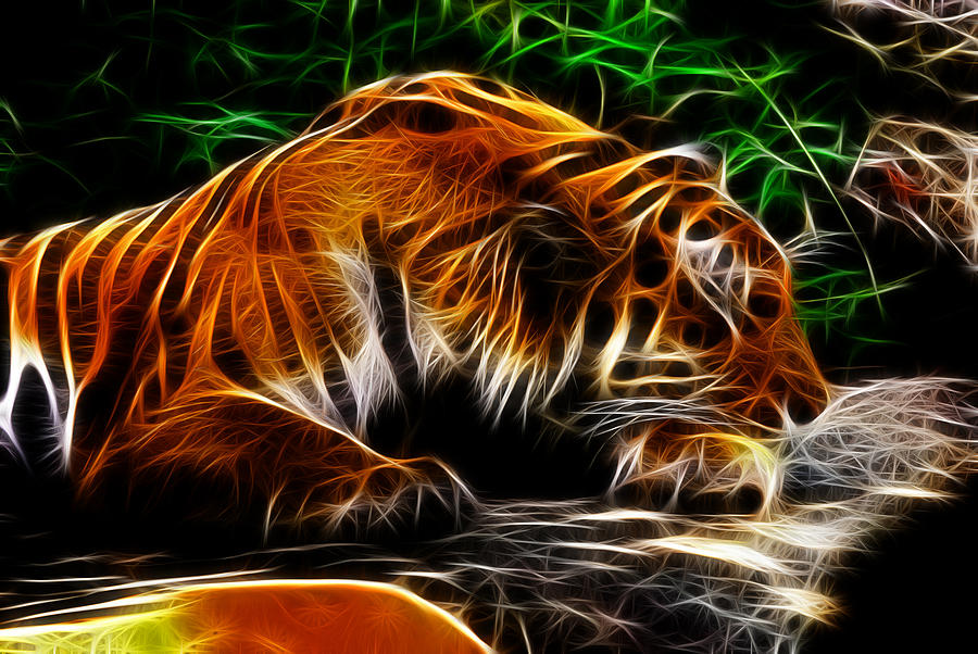 Fractal tiger Photograph by Prince Andre Faubert