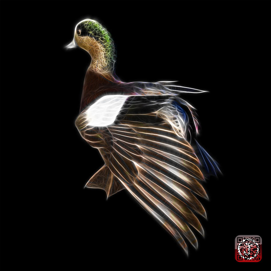 Fractal Wigeon 7702 - BB Mixed Media by James Ahn
