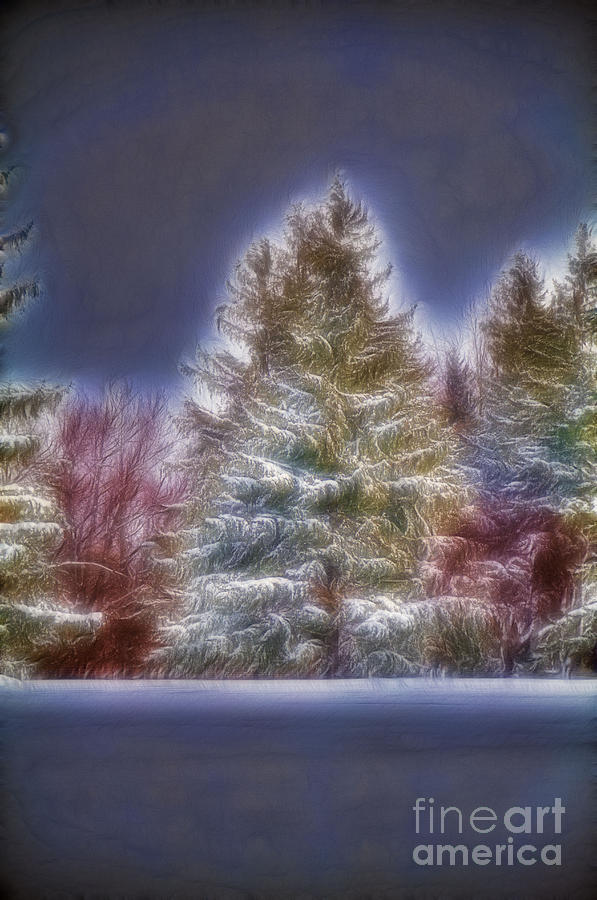 Fractalius Winter Pines Photograph by Jim Lepard