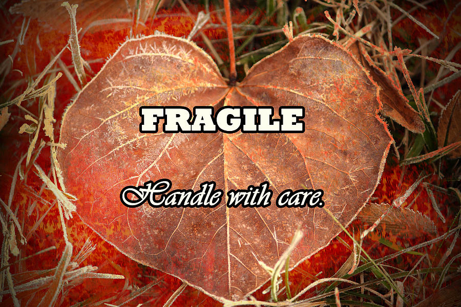 Fragile Heart Photograph By Karen Beasley