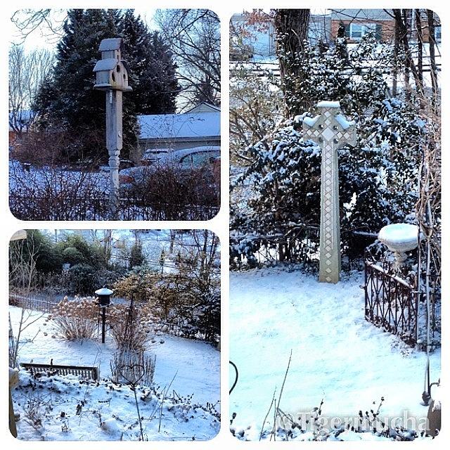 Winter Photograph - @framaticapp, #framatic #snow #garden by Teresa Mucha