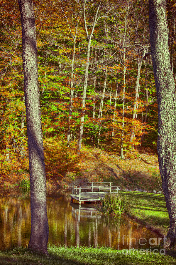 Framed Autumn View Seven Springs Photograph by Douglas Barnard