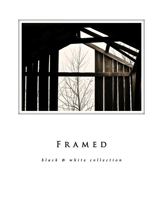 Framed  black and white collection Photograph by Greg Jackson