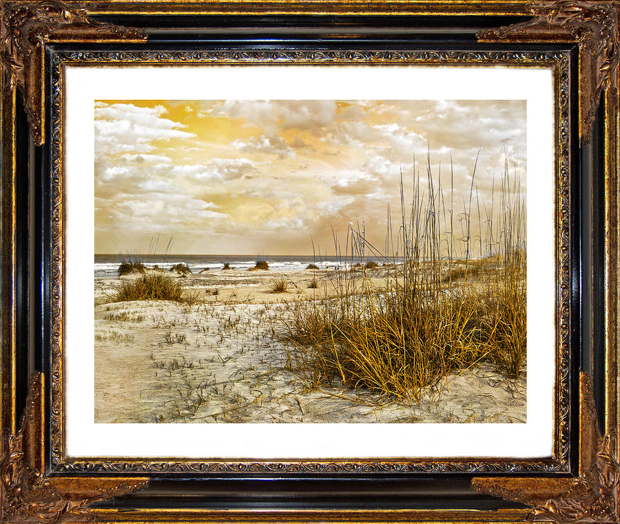 Beach Digital Art - Framed Dunes by Betsy Knapp