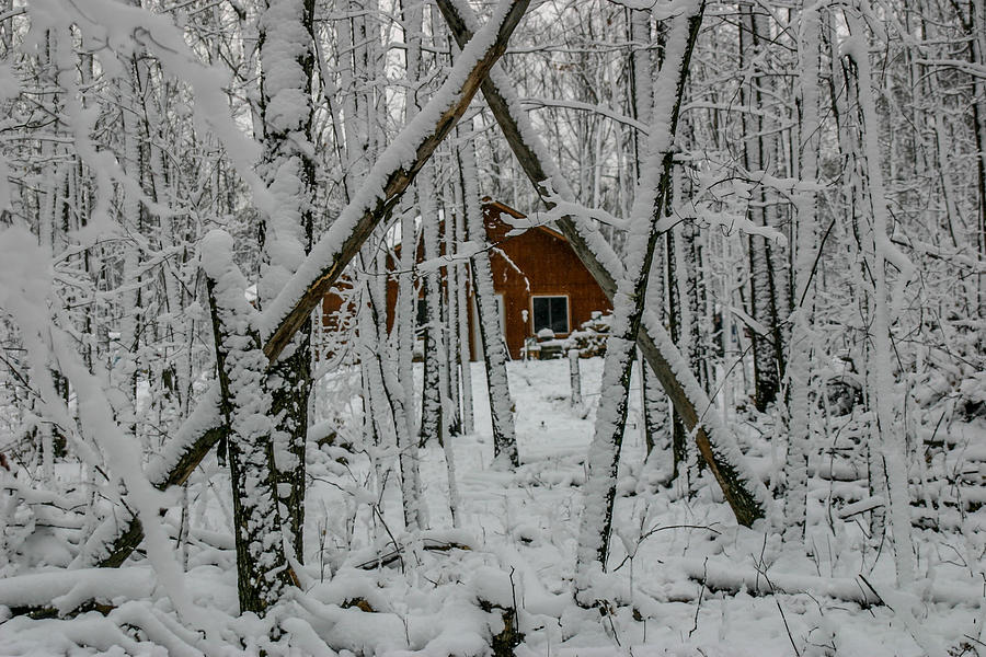 Framed In Snow Photograph by Paul Freidlund