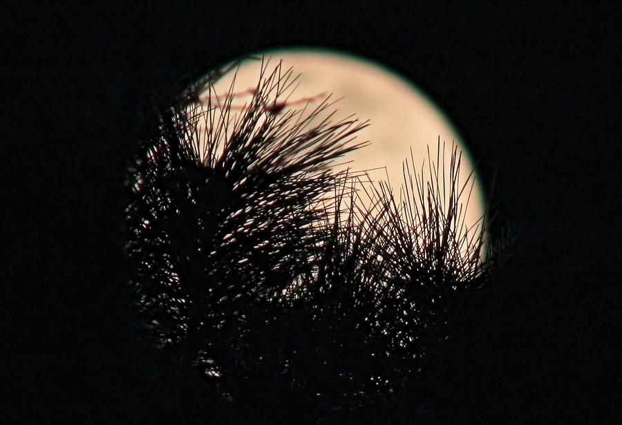 Framed Moon Photograph by Rachel Bochnia