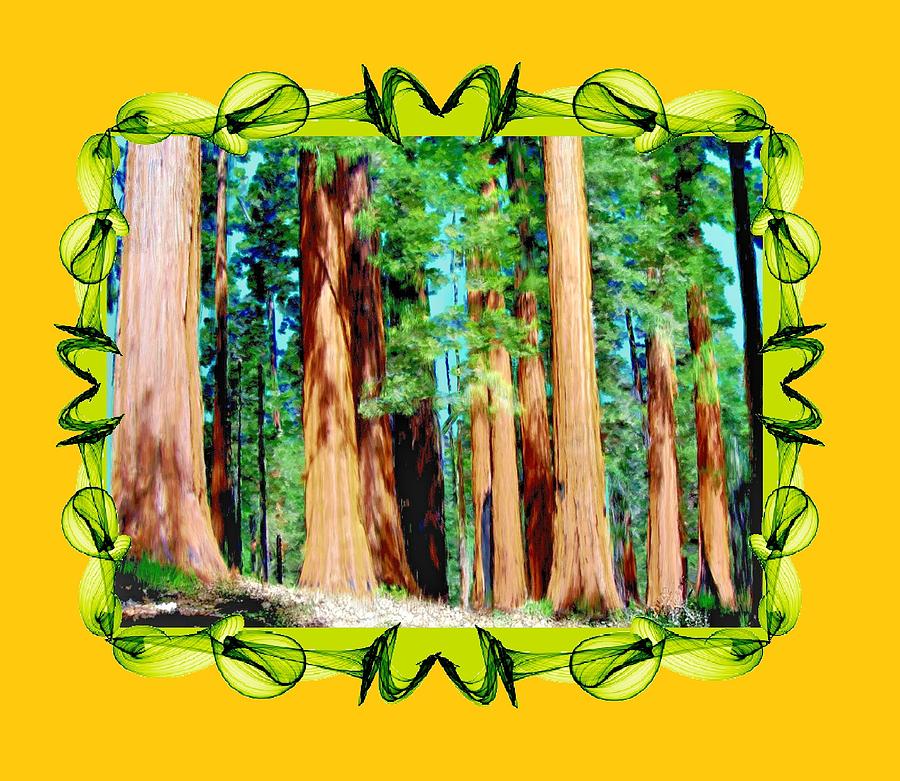 Tree Painting - Framed Sequoias by Bruce Nutting