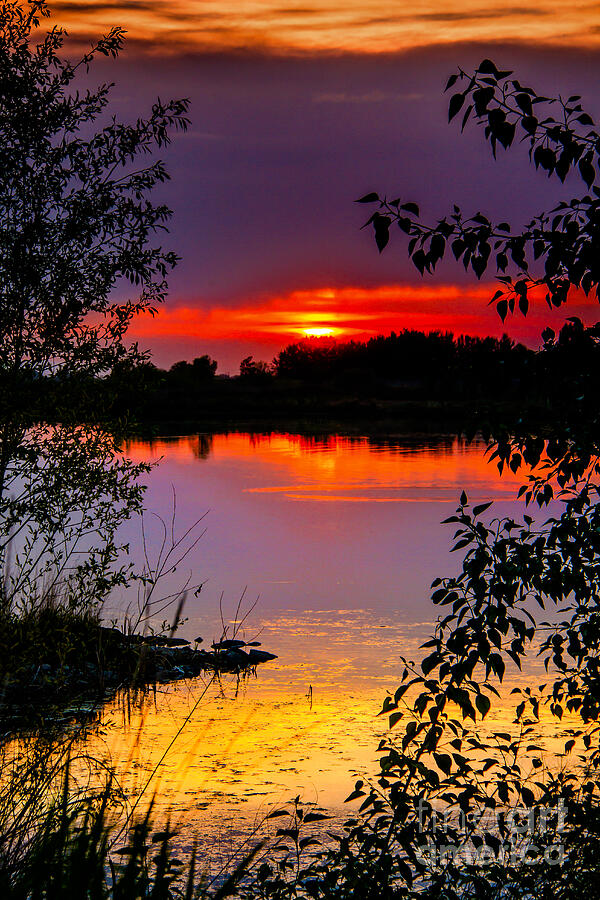 Framed Sunset Photograph by Robert Bales