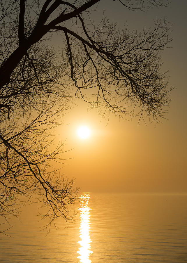Sunset Photograph - Framing the Golden Sun by Georgia Mizuleva