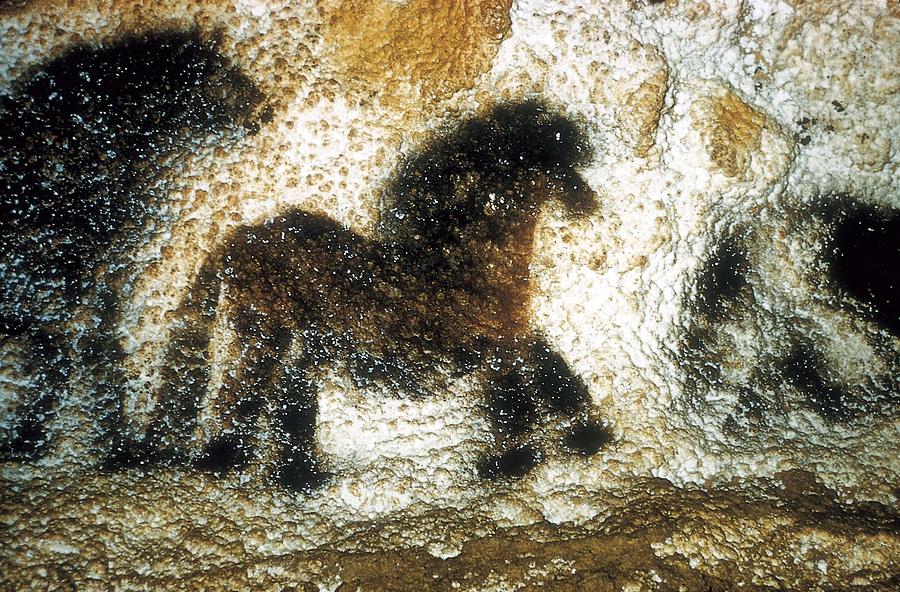 France. Montignac. The Cave Of Lascaux Photograph by Everett - Fine Art ...