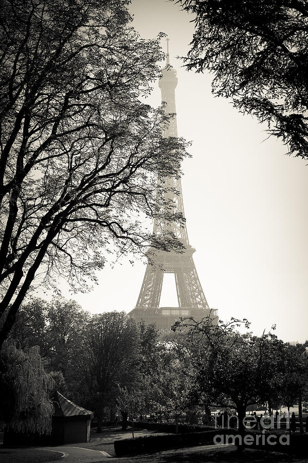 The Eiffel Tower Paris France Photograph by Andy Myatt