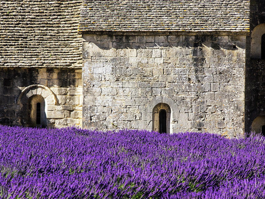 Romanesque Photograph - France, Provence, Senanque Abbey by Terry Eggers