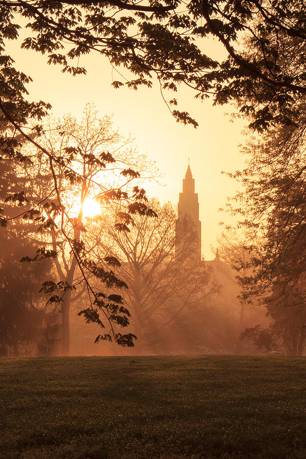 Tree Photograph - Francis Park Foggy Sunrise by Scott Rackers