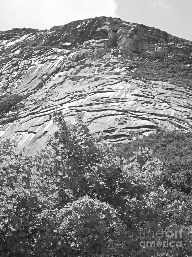 Franconia Notch Mountain Face NH Photograph by Lizi Beard-Ward