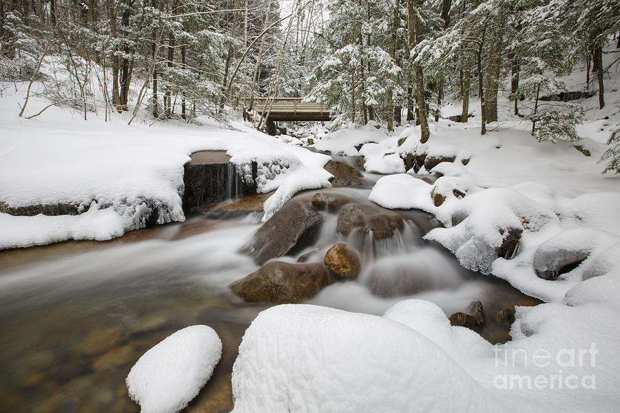 Franconia Notch State Park - White Mountains New Hampshire USA - Flume Gorge Photograph by Erin Paul Donovan