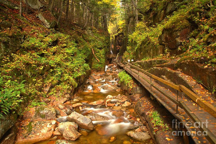 Franconia Notch Flume Gorge New Hampshire Photograph by Adam Jewell