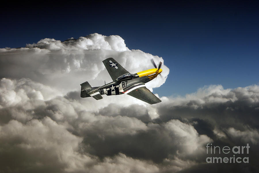 Mustang Digital Art - Frankie  by Airpower Art
