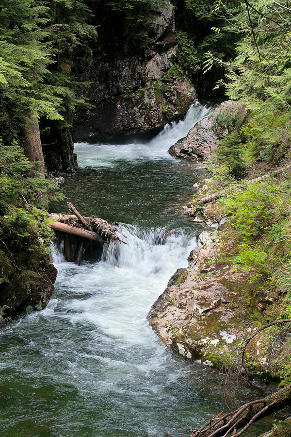 Franklin Falls on Denny Creek in Snoqualmie Forest Photograph by Stacey ...