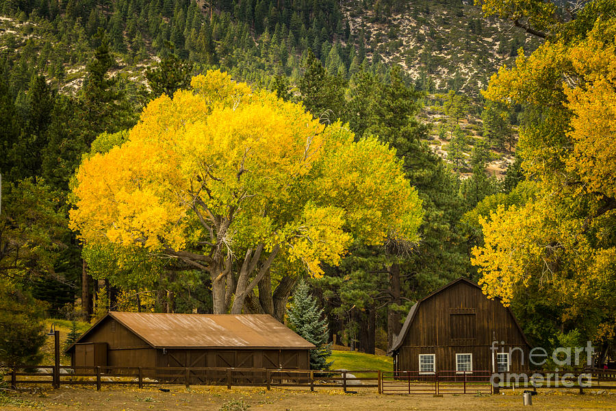 Franktown Ranch In Fall Photograph