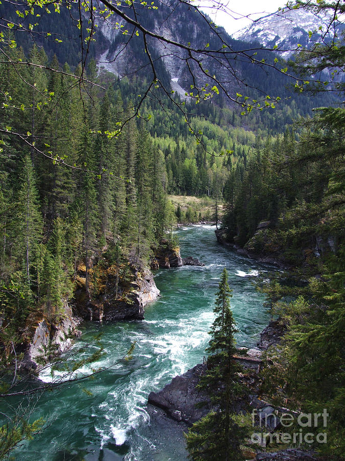 Landscape Photograph - Fraser River - British Columbia by Phil Banks