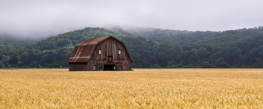 Frechman Barn - Summer Photograph by Wayne Meyer