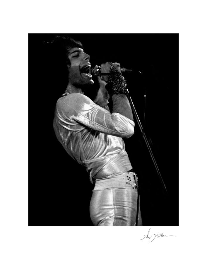 Freddie Mercury Photograph by Glenn Grossman