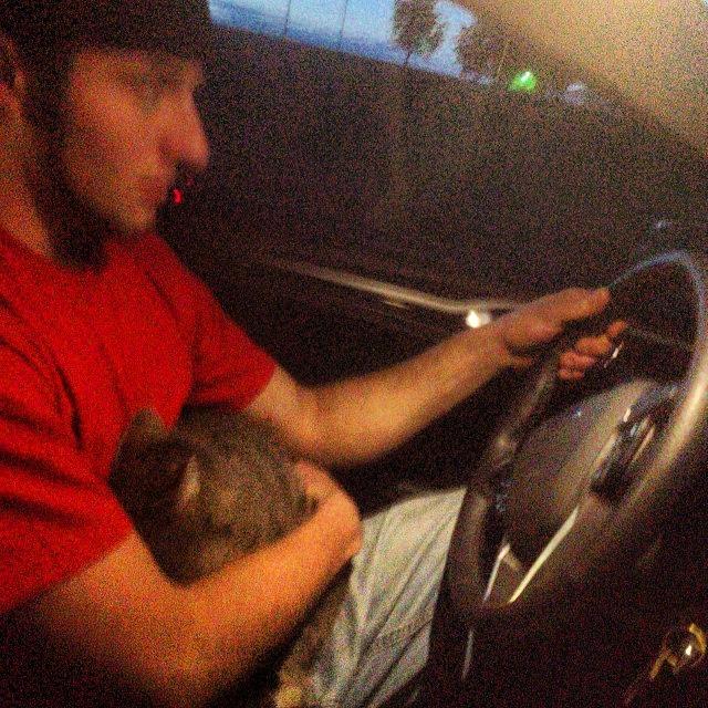 Animal Photograph - Freddy Takin The Kitty For A Drive Lol by Jd Long
