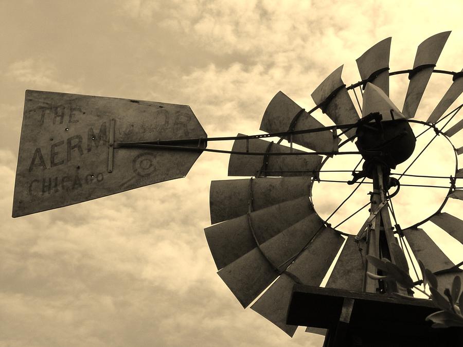 Vintage Photograph - Fredericksburg Herb Farm Aermotor Windmill sepia by Elizabeth Sullivan