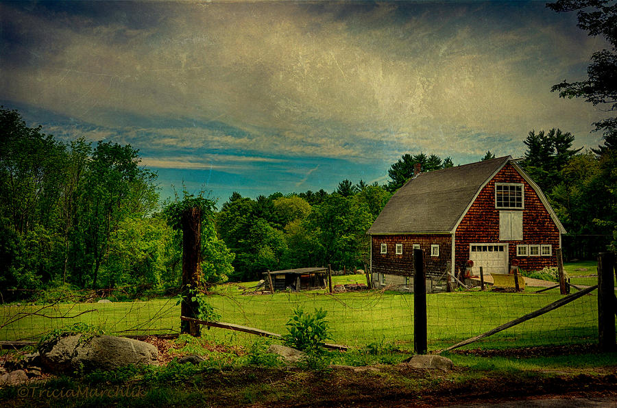 Freds Barn Photograph by Tricia Marchlik