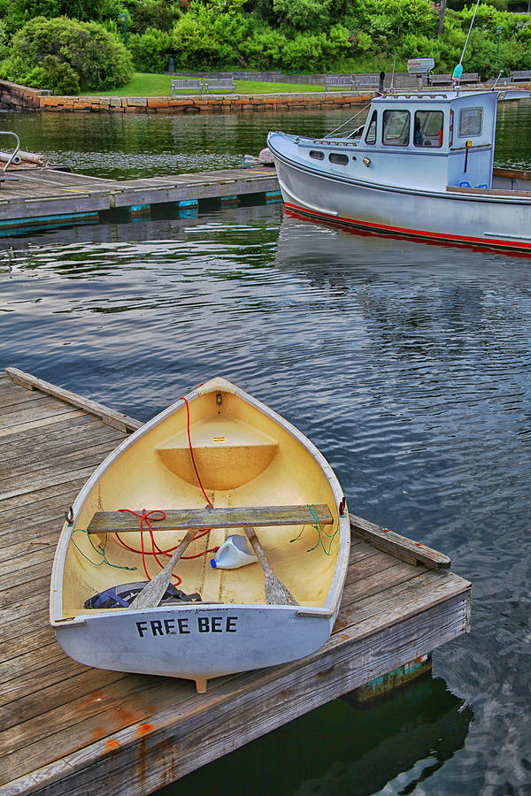 Boat Photograph - Free Bee by Karol Livote