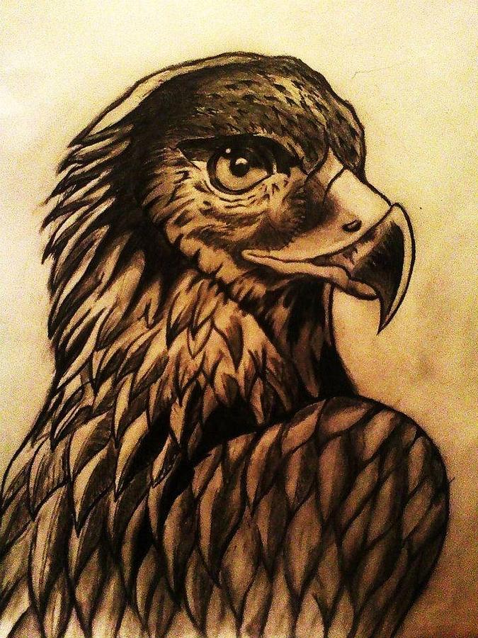 Eagle Drawing - Free bird by Cameron Brewer