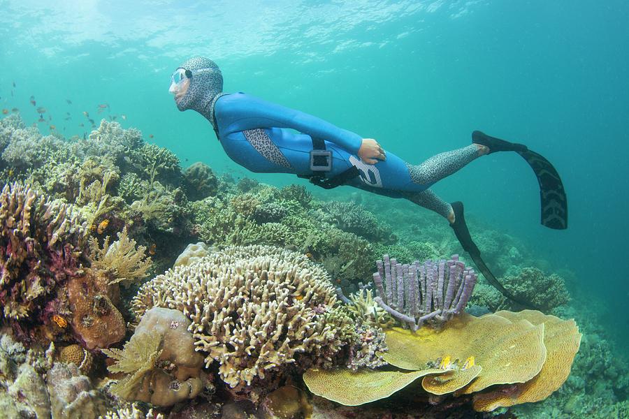 Free Diver Swimming Over Coral Reef Photograph by Scubazoo - Pixels