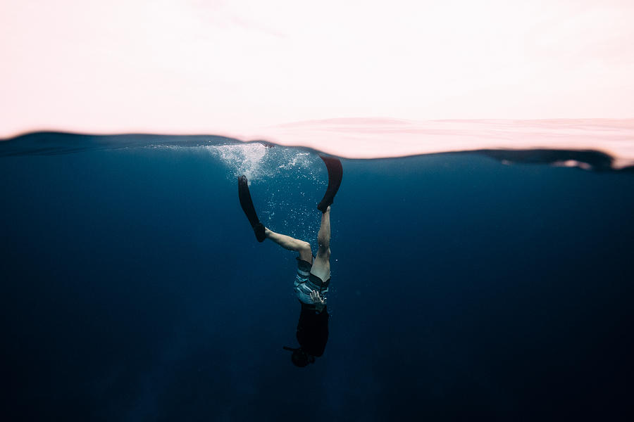 Free Diving Photograph by Matt Porteous
