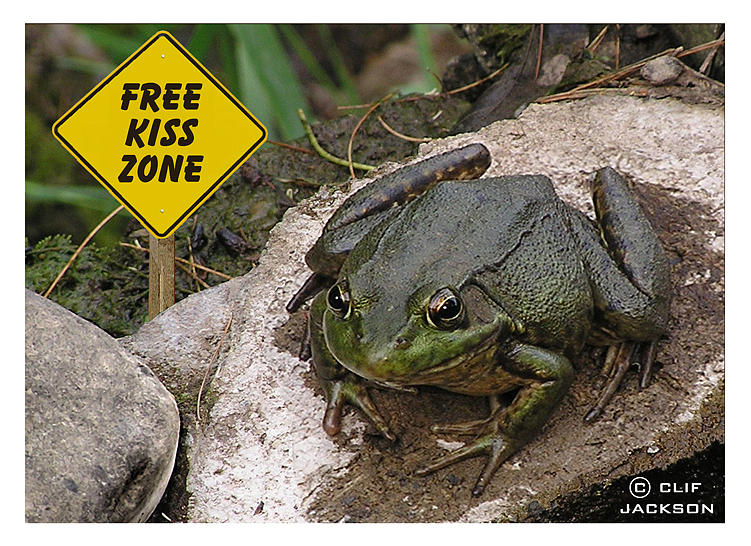 Nature Photograph - Free Kiss Zone by Clif Jackson
