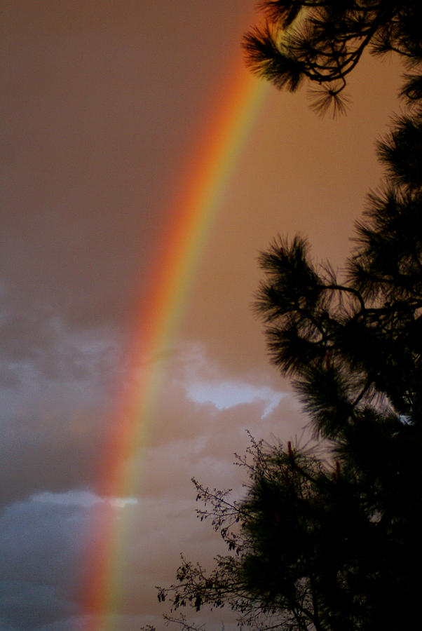 Free Rainbow 2 Photograph by Ben Upham III