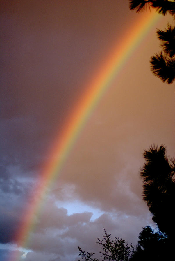 Free Rainbow  Photograph by Ben Upham III