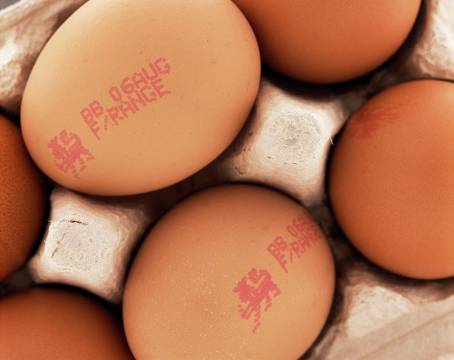 Free-range Eggs Photograph by Adrienne Hart-davis/science Photo Library