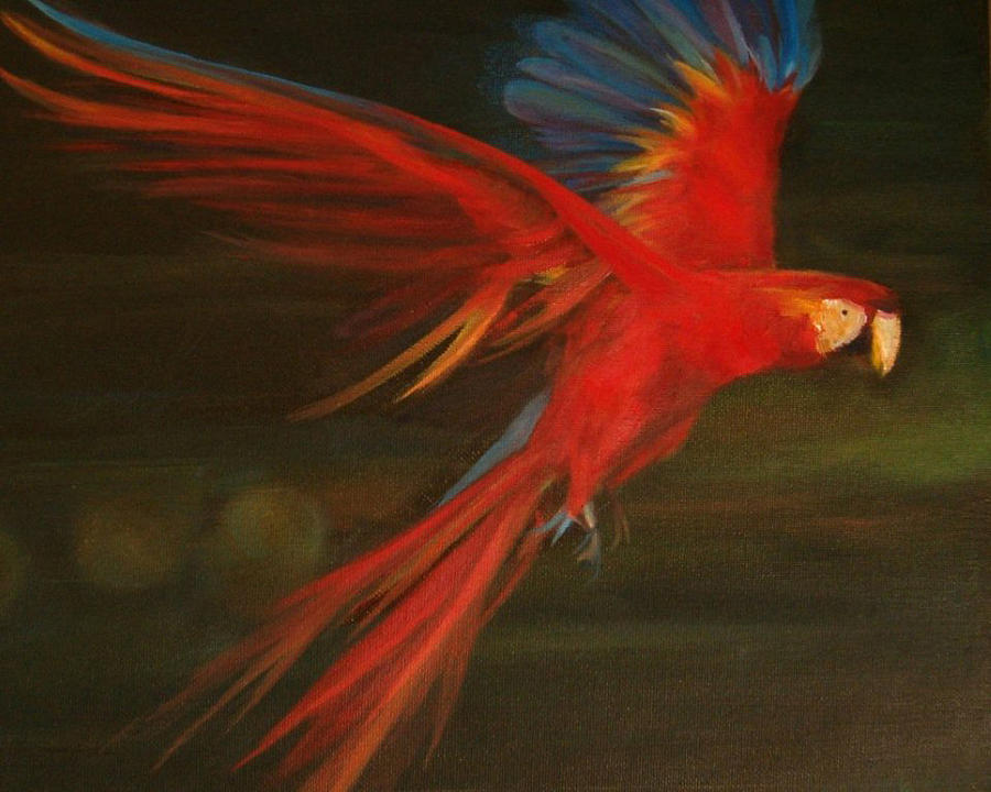 Bird Painting - Free Range Macaw by Laurie VanBalen