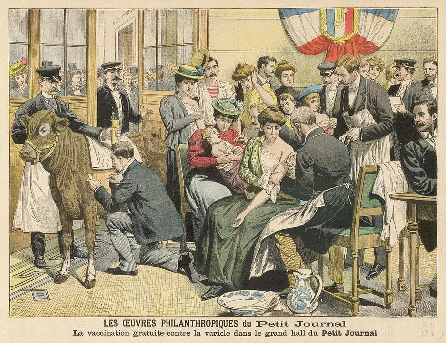 Free Drawing - Free Vaccinations Against Smallpox by Mary Evans Picture Library Free Drawing - Free Vaccinations Against Smallpox by Mary Evans Picture Library