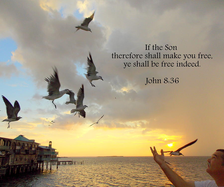 Freed by the Son 1 Photograph by Sheri McLeroy