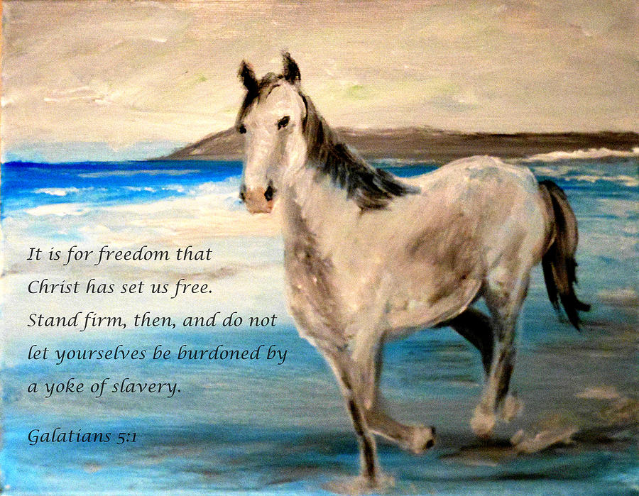 Horse Painting - Freedom by Amanda Dinan