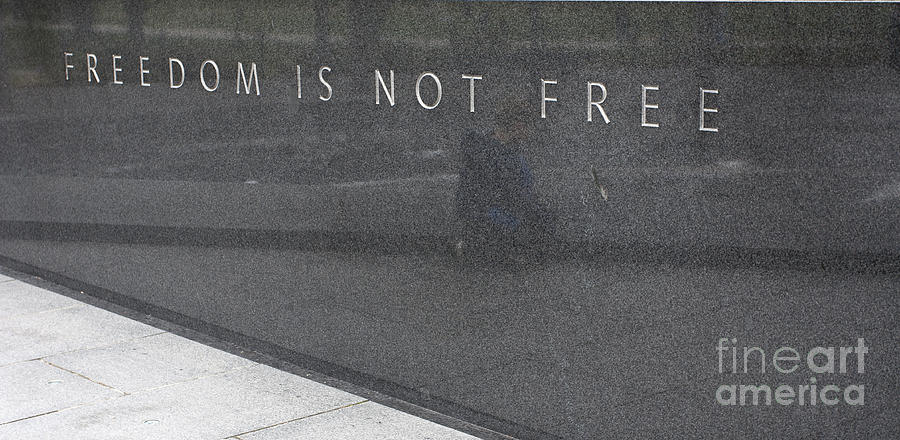 Freedom Is Not Free Photograph by Steven Ralser