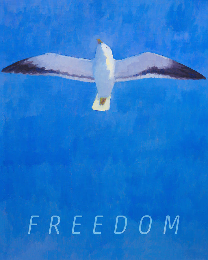 Freedom Mixed Media by Lutz Baar